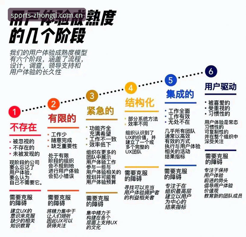 中体用户体验深度详解：从数据透明到综合服务的全面解析